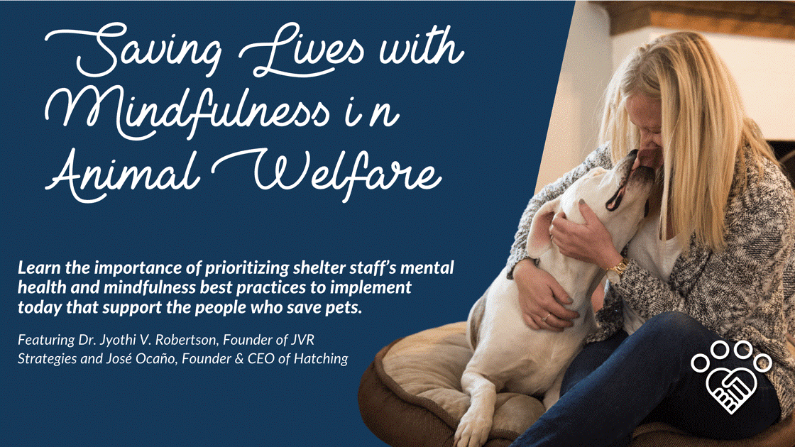 Saving Lives with Mindfulness in Animal Welfare